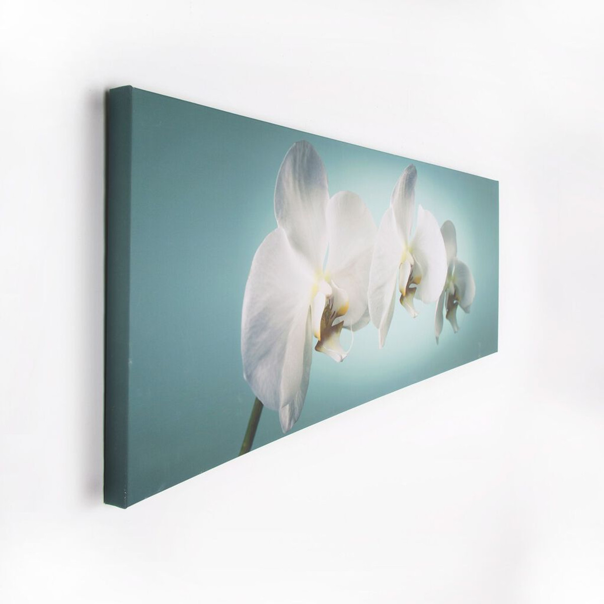 Teal Orchid Wall Art