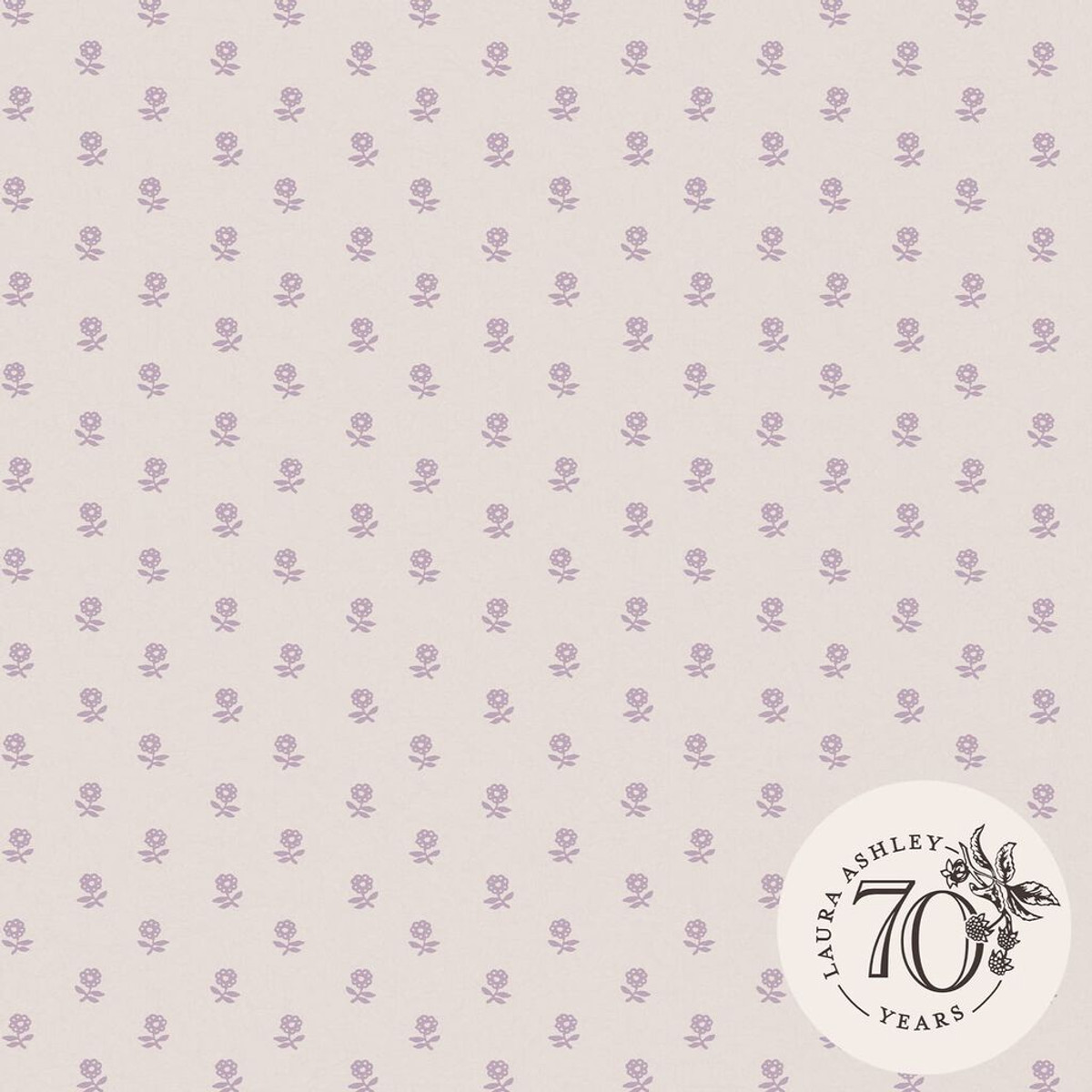 Laura Ashley Daisy Lavender Purple Wallpaper