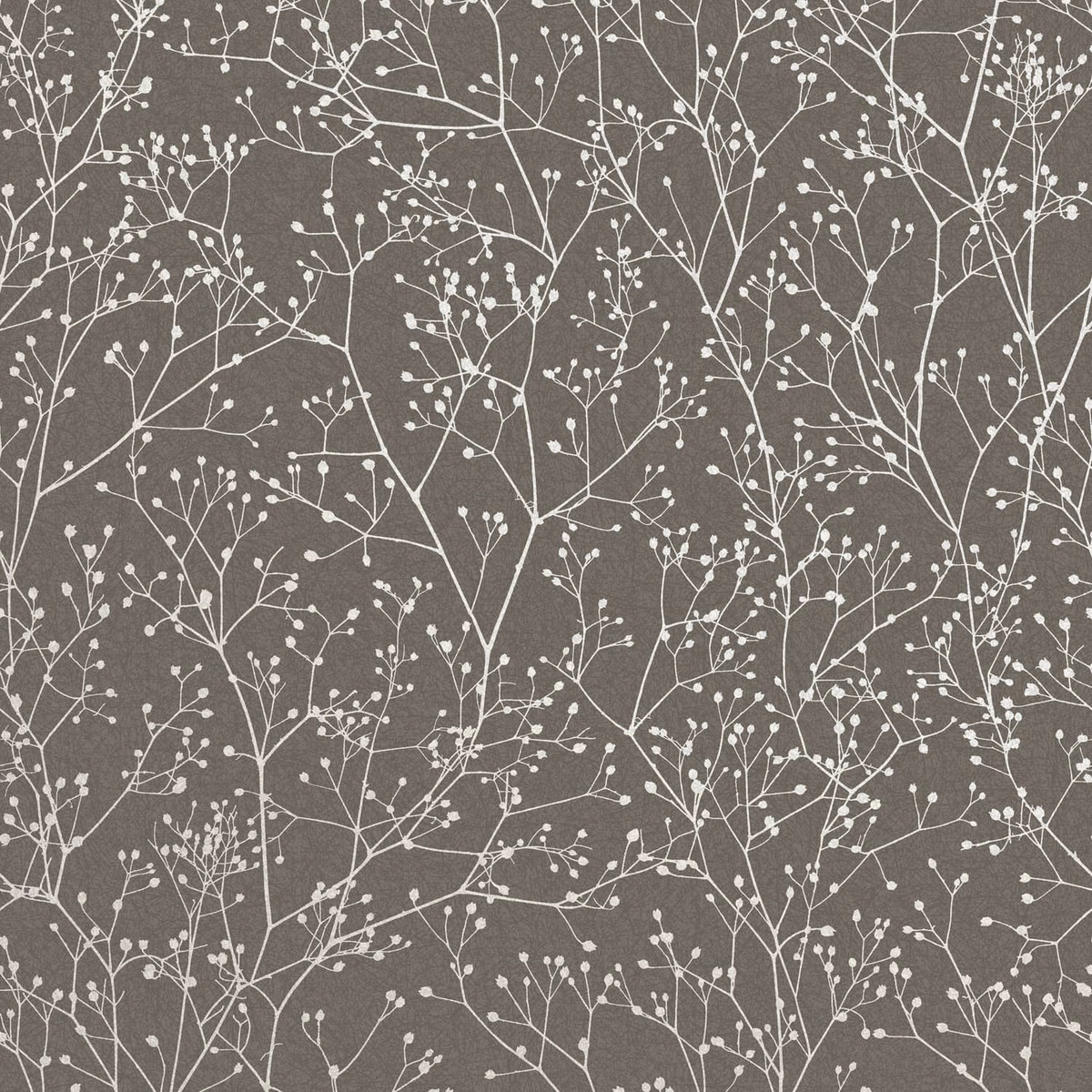 Gypsophila Mocha & Silver Wallpaper by Clarissa Hulse