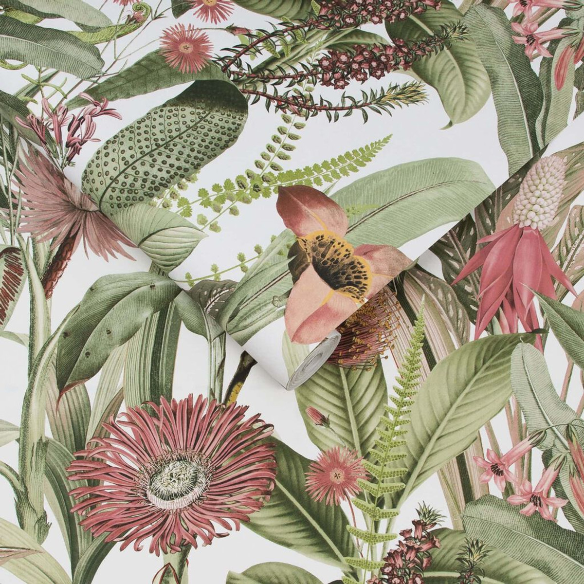 Tigerlily Lush Wallpaper