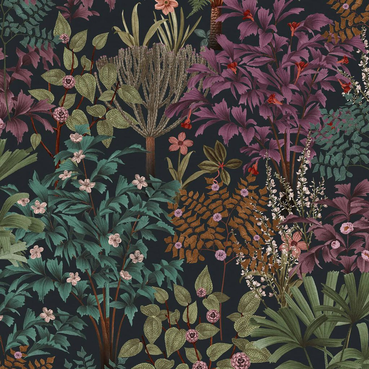 Jardin Botanico Black Wallpaper