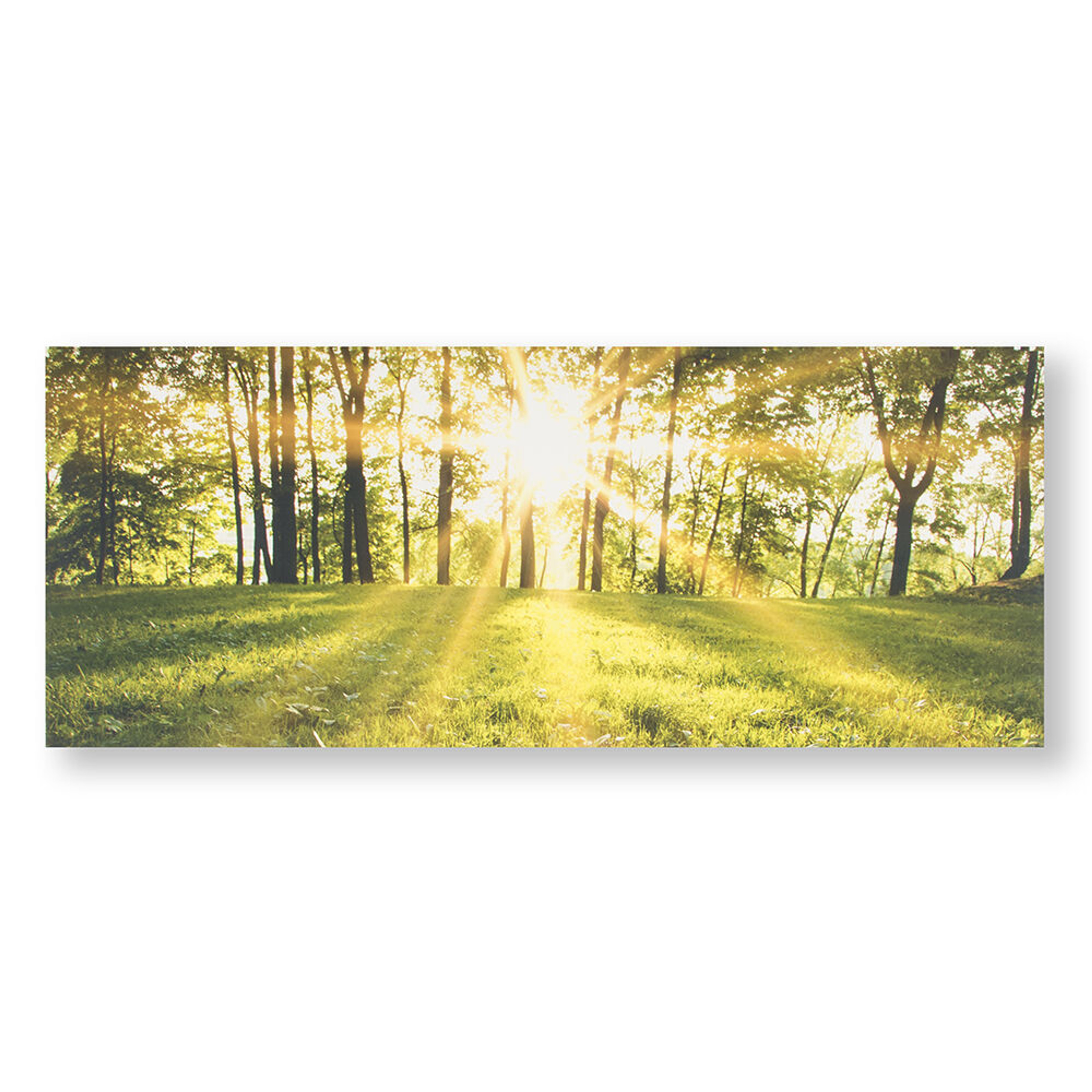 Tranquil Forest Fields Printed Canvas Wall Art