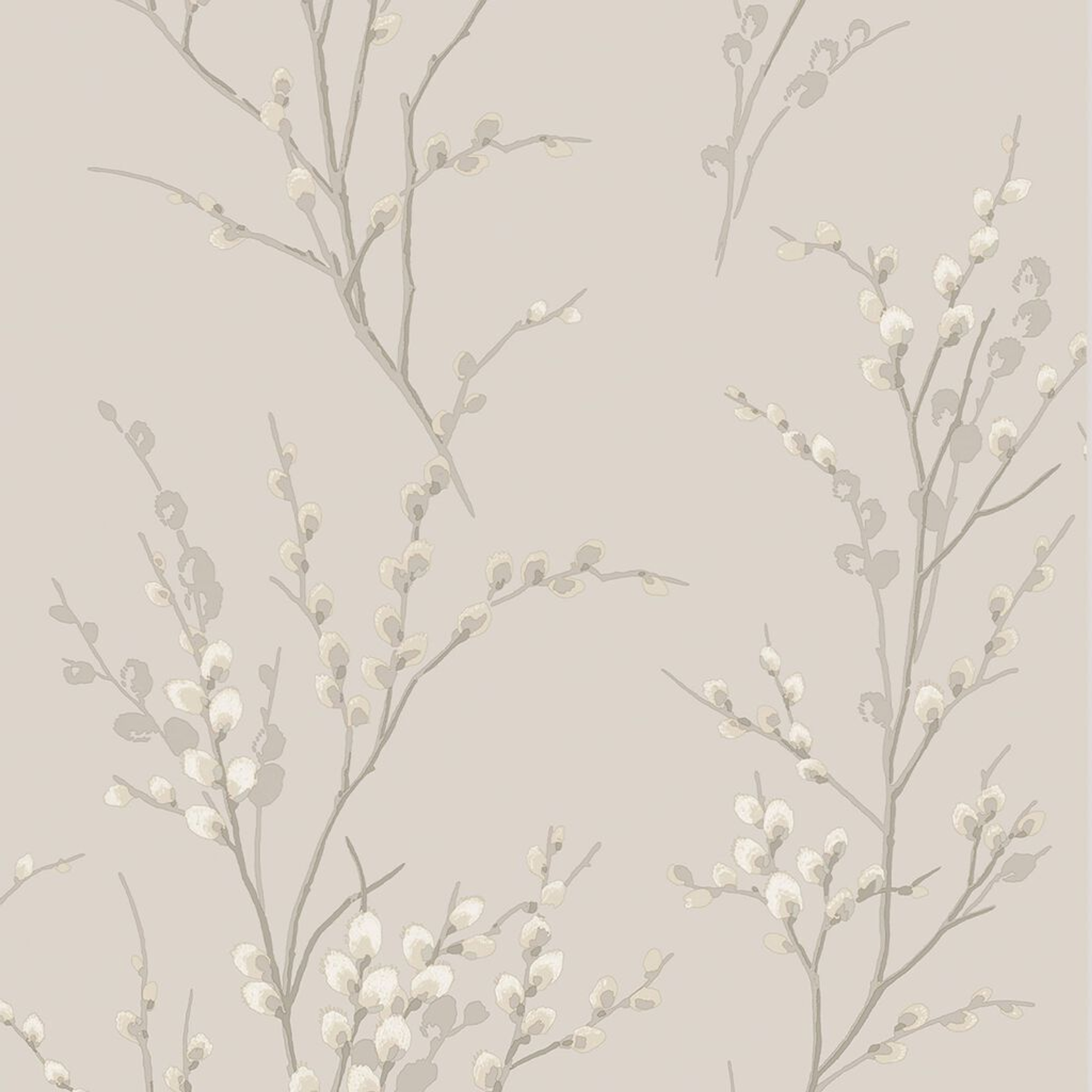 Laura Ashley Pussy Willow Dove Grey Wallpaper