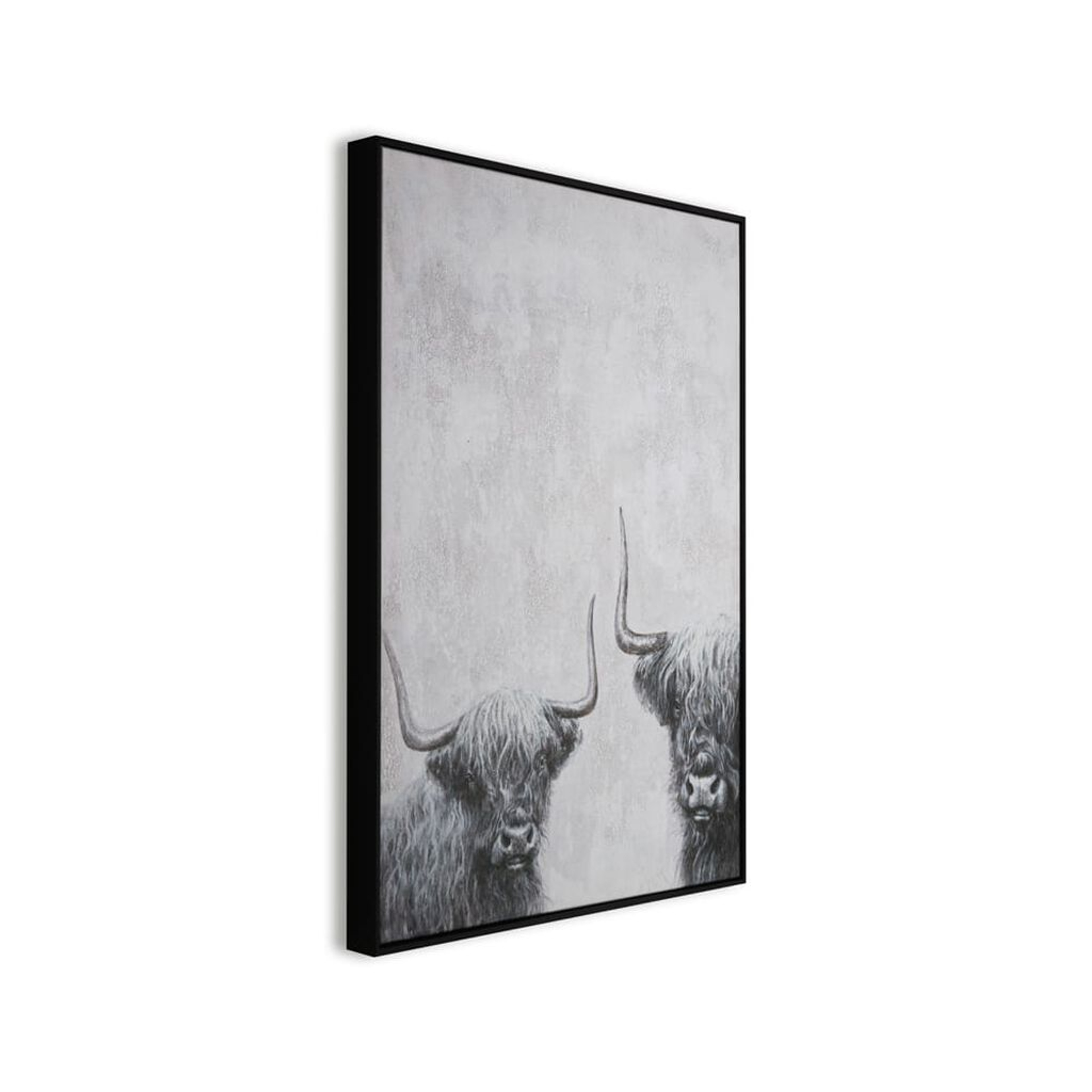 Highland Cows Box Framed Canvas