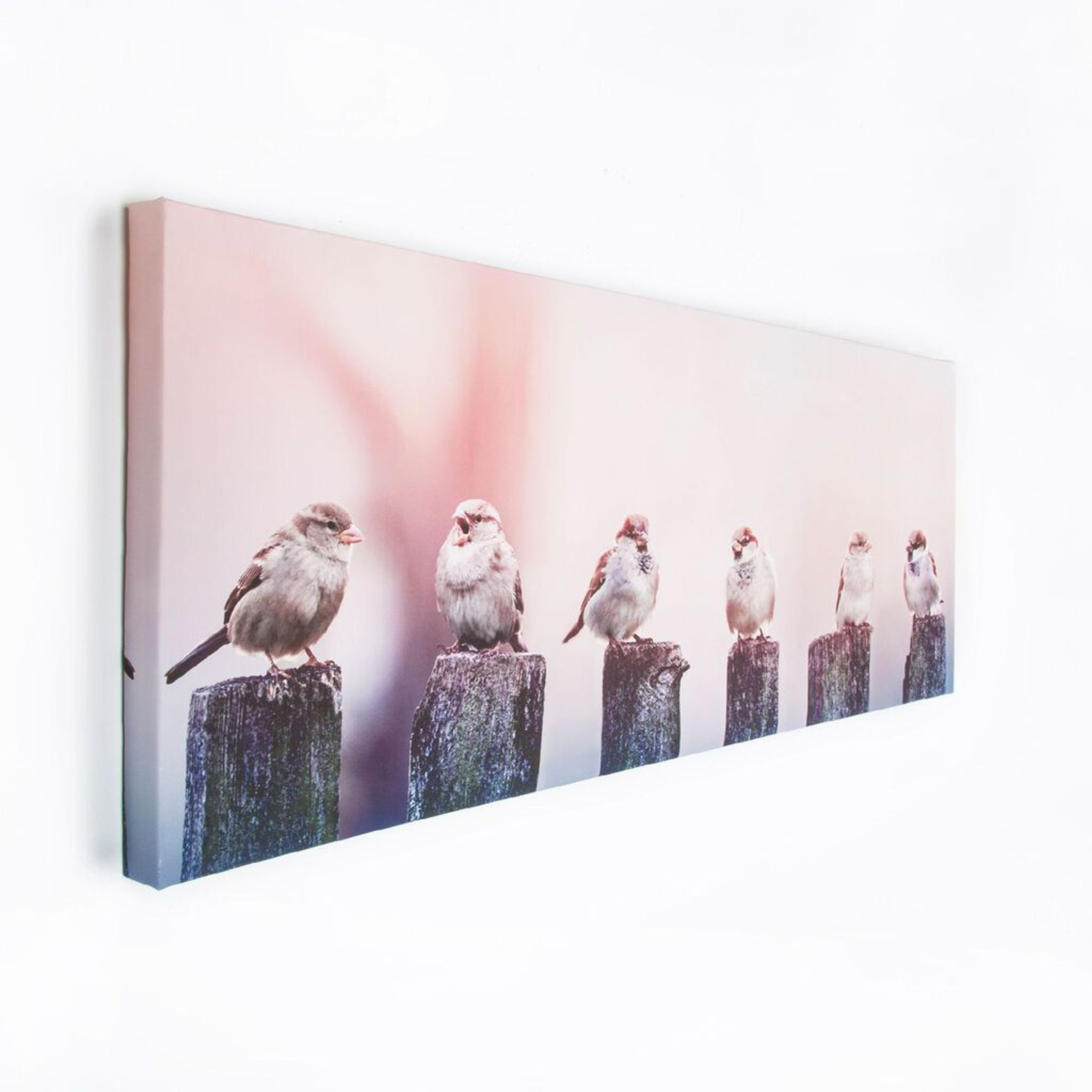 Early Morning Tweets Printed Canvas Wall Art
