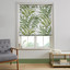 Yasuni Lush Roman Blind