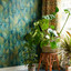 Woodland Fern Emerald Wallpaper