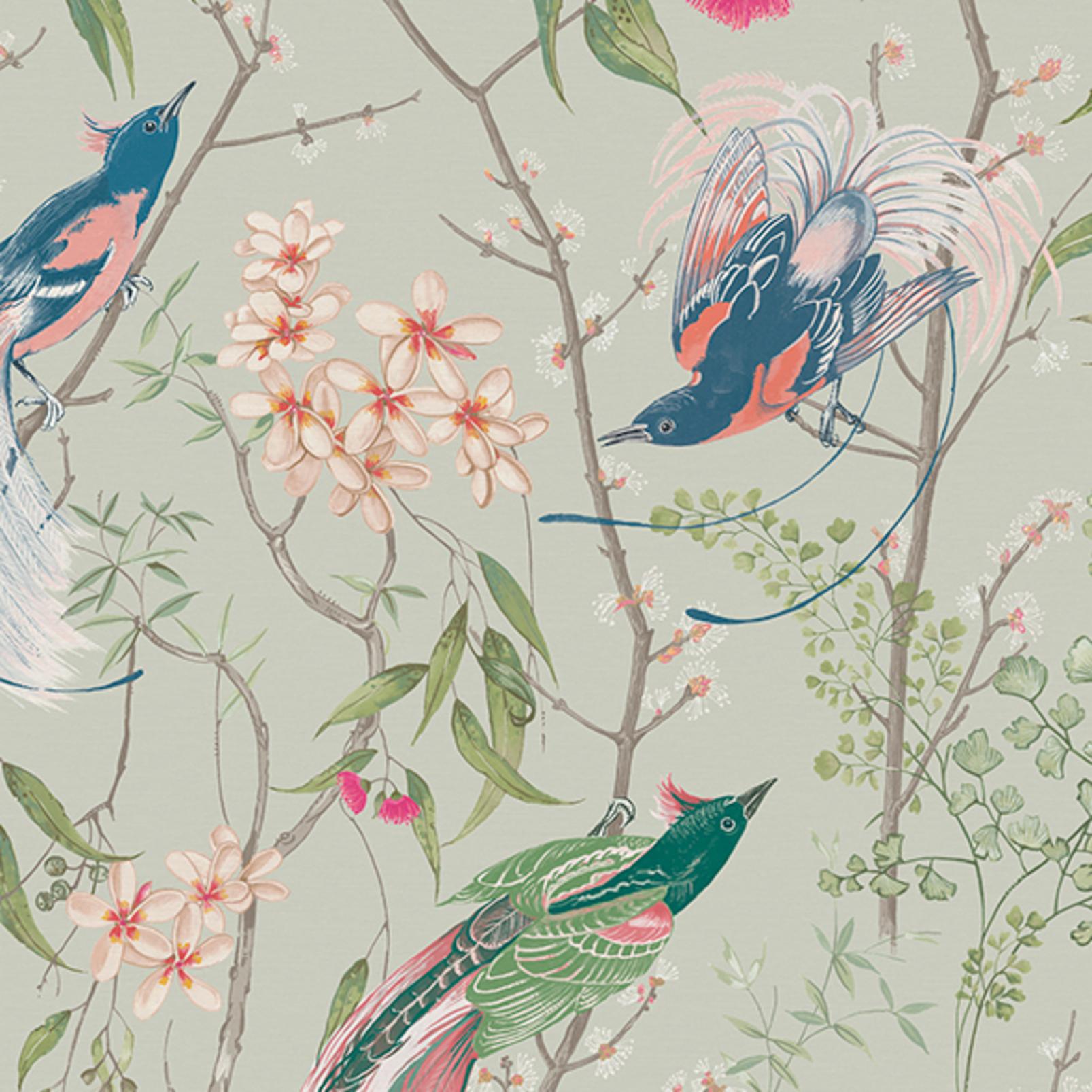 birds wallpaper uk