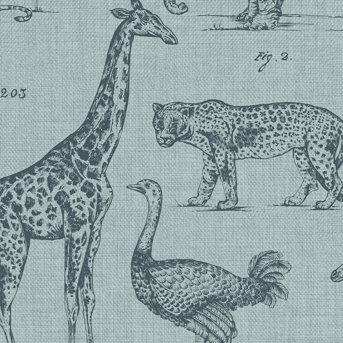 Zoology Wallpaper