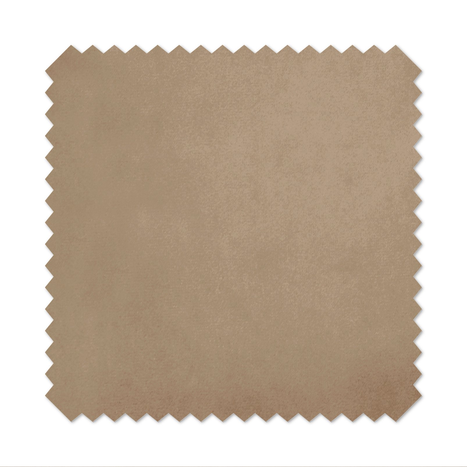 Lavish Cappuccino A5 Sample