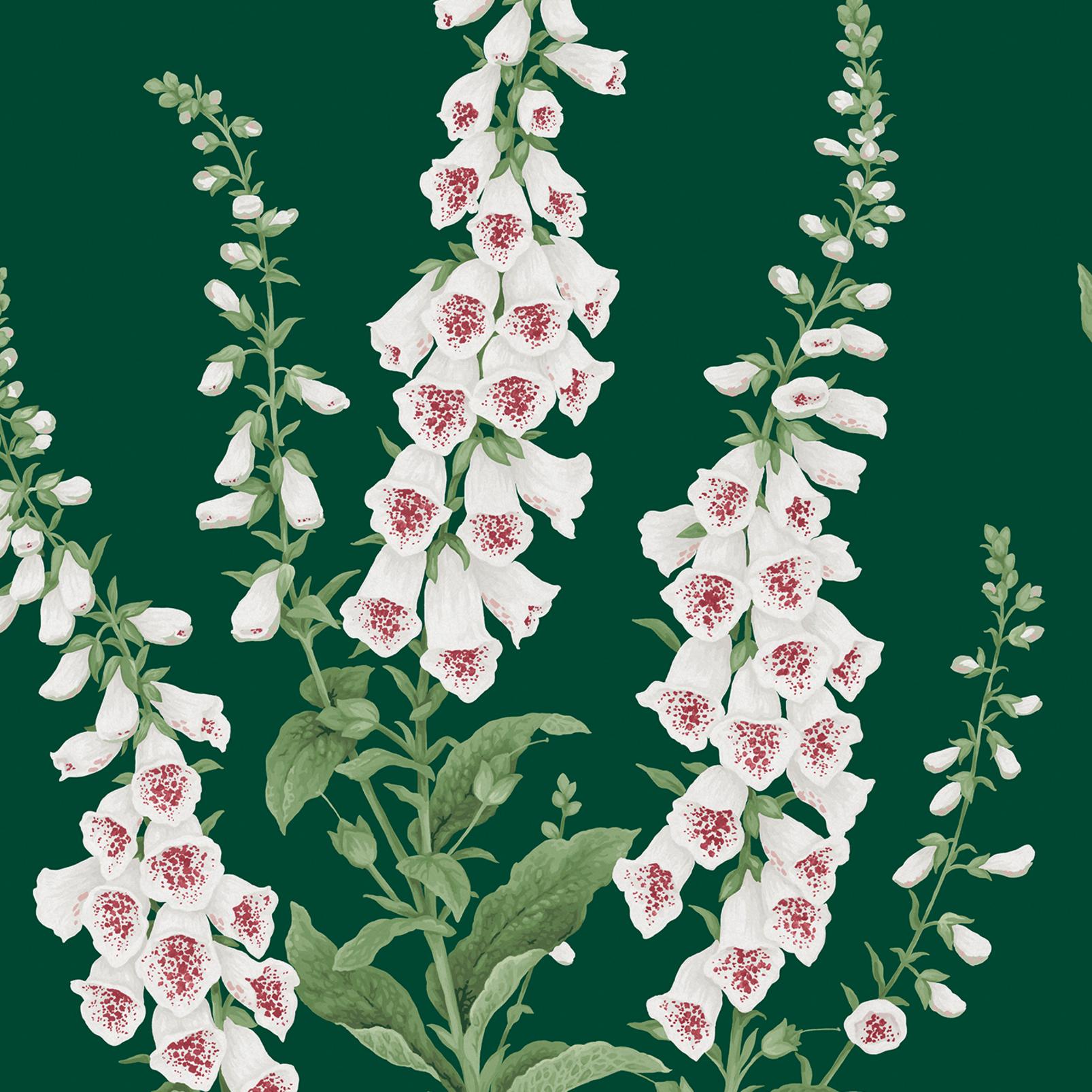 foxglove wallpaper