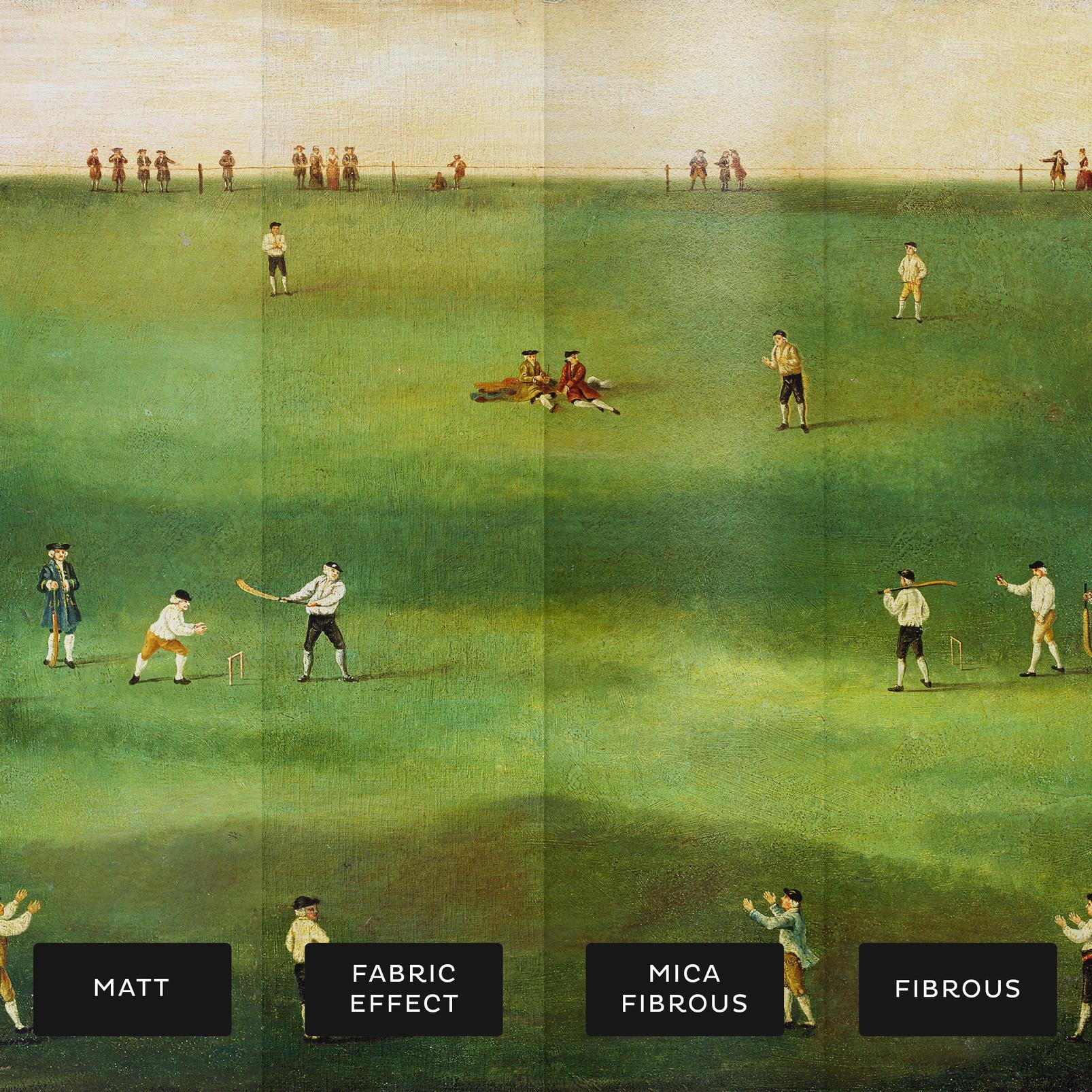 An Exact Representation of the Game of Cricket Bespoke Mural An Exact Representation of the Game of Cricket Bespoke Mural