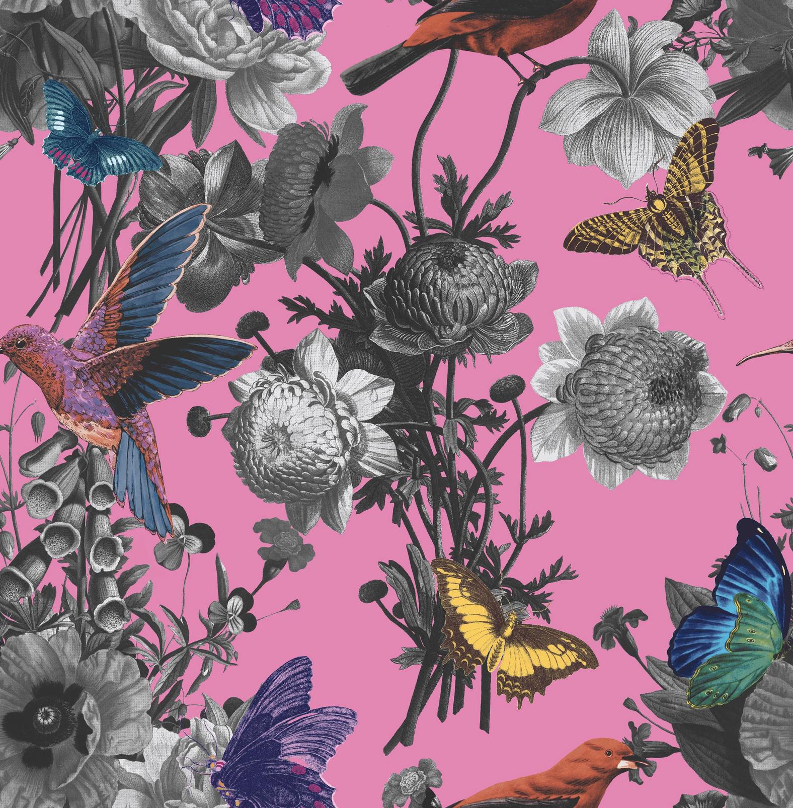 magenta wallpapers ltd