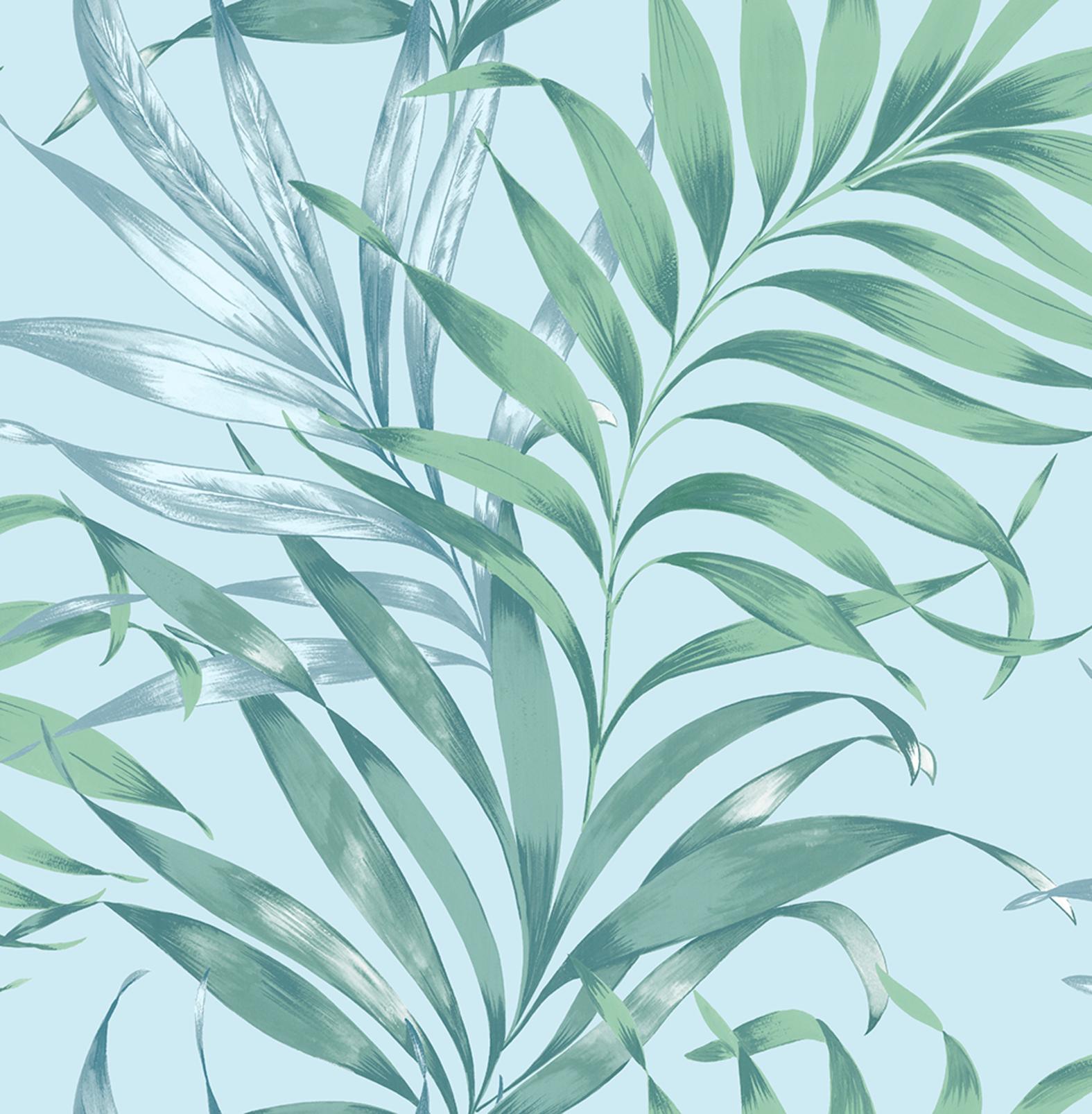 yasuni wallpaper