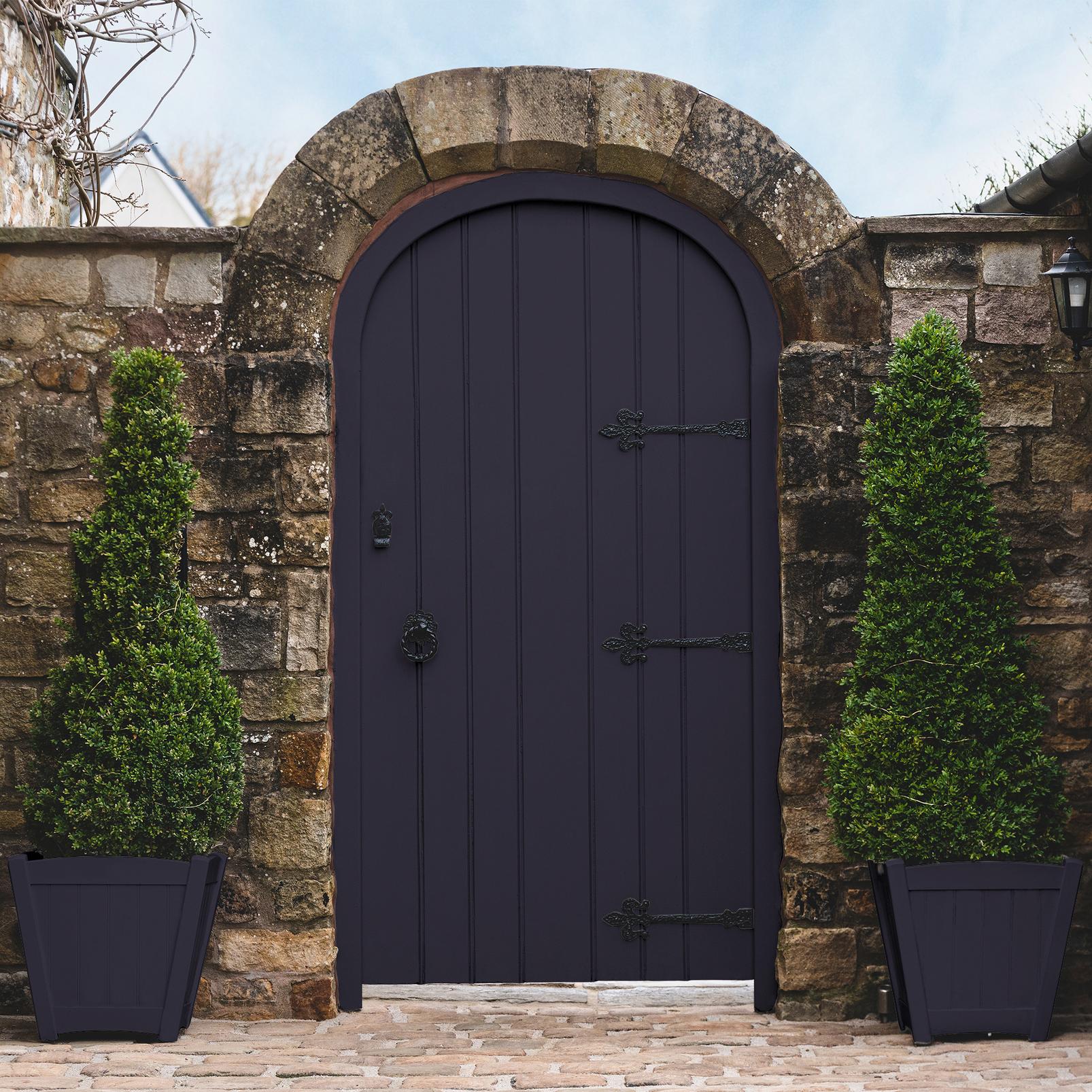 Buddleia Paint Buddleia Paint