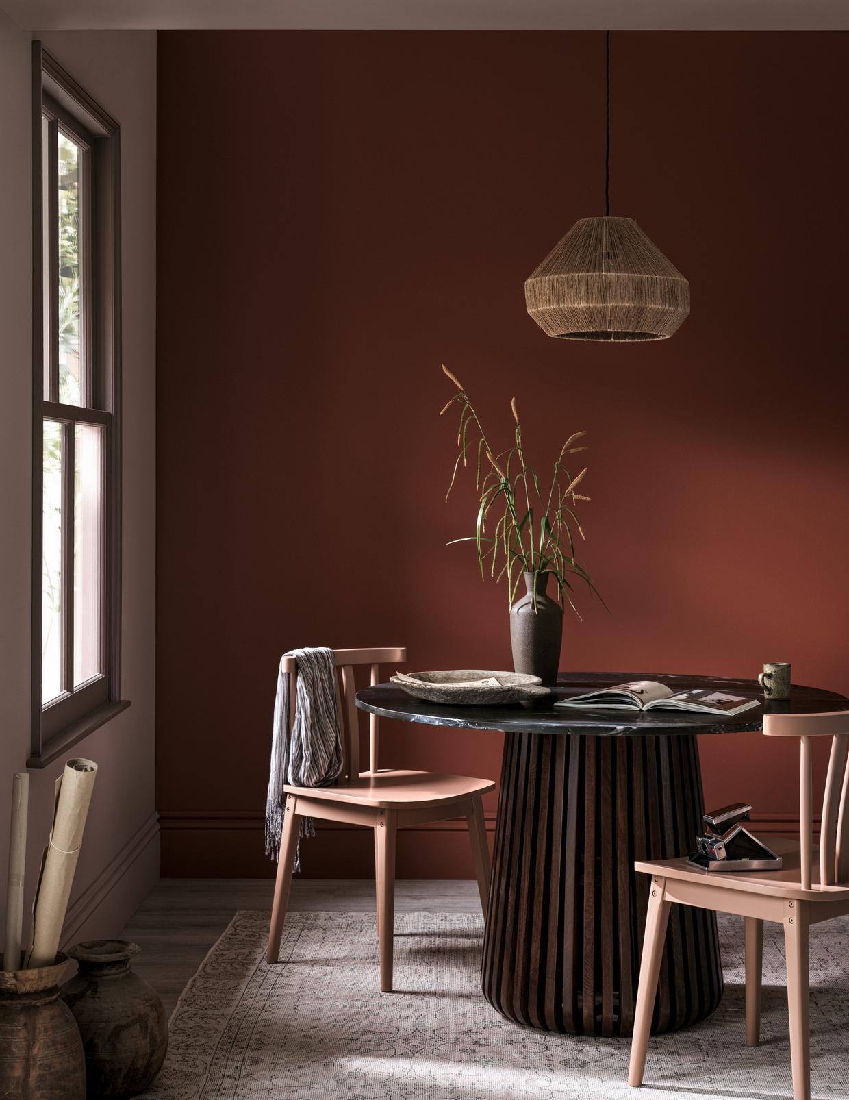 Hot Mocha Paint | Brown | Graham & Brown