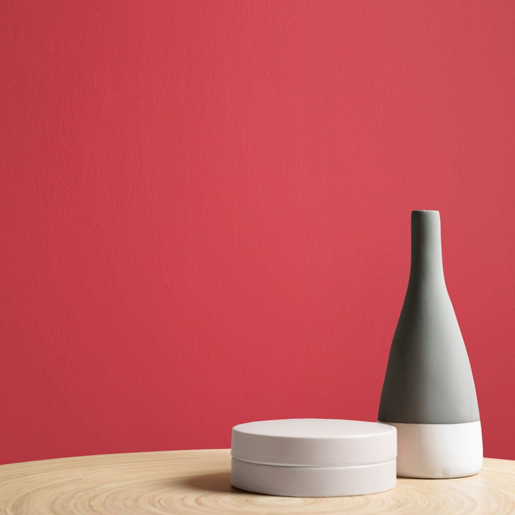 Vixen Paint Vixen Paint