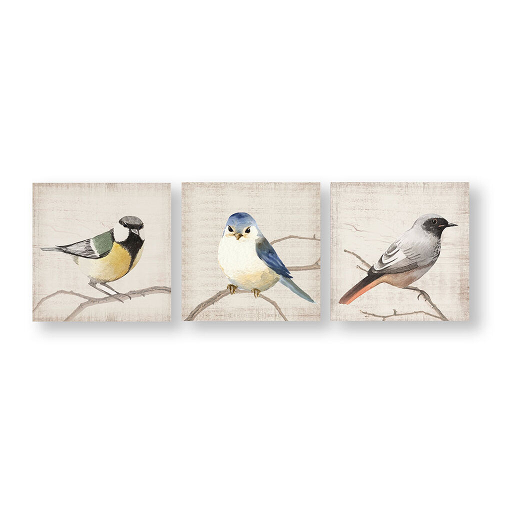 Perched Birds Canvas Wall Art