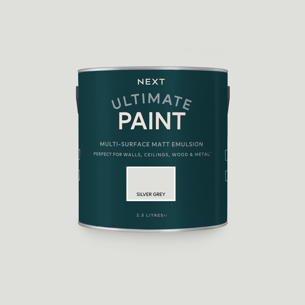 Next Silver Grey Paint