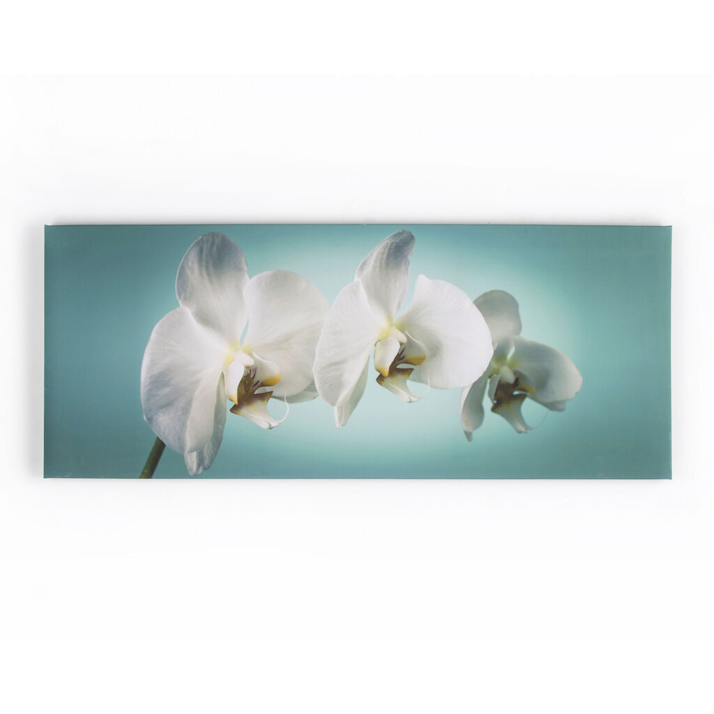 Teal Orchid Wall-art