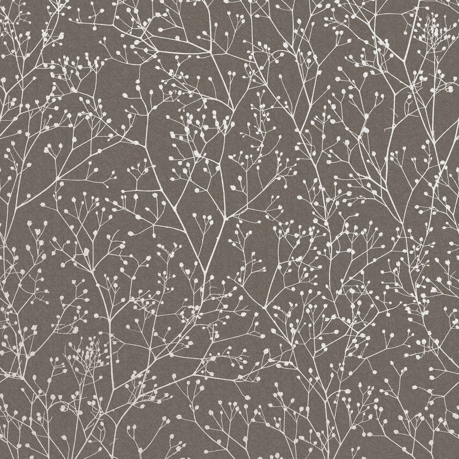 Gypsophila Mocha & Silver Wallpaper