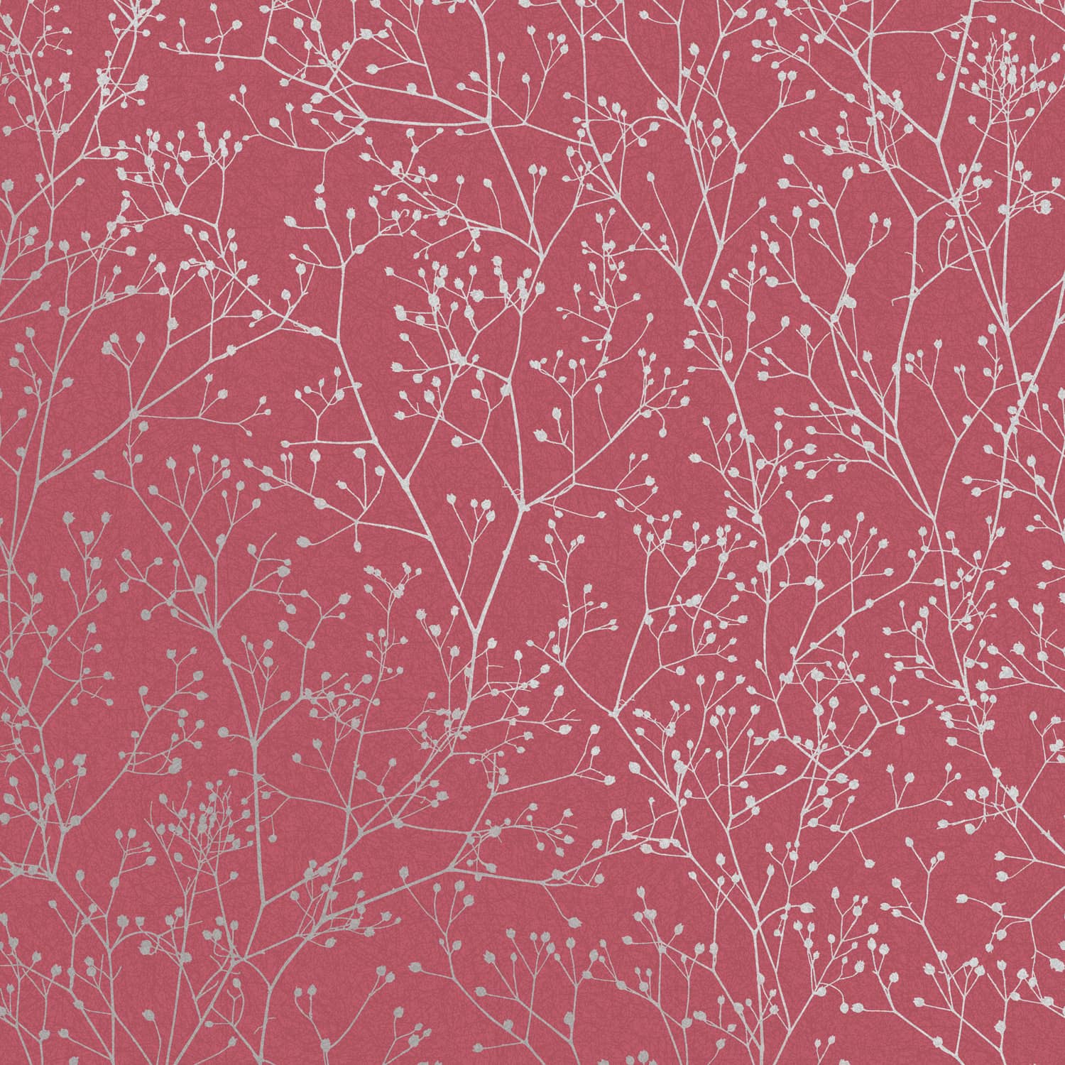 Gypsophila Raspberry & Silver Wallpaper