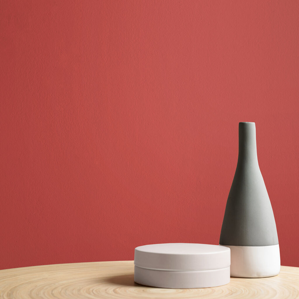 King Of Paradise  Paint