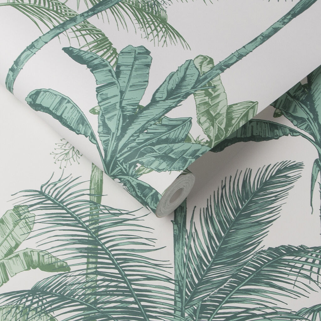 Papier Peint Jungle Vert Succulent