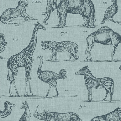 Zoology Wallpaper