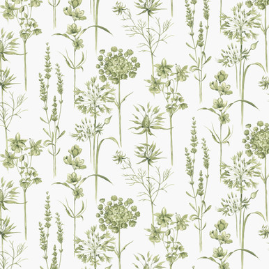 Botanical Wildflowers Wallpaper