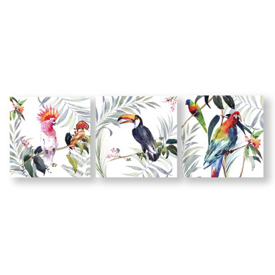 Tropical Amazon Birds Canvas Wall Art