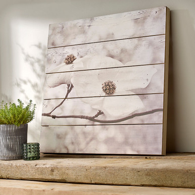 Serenity Blossoms Print On Wood Wall Art