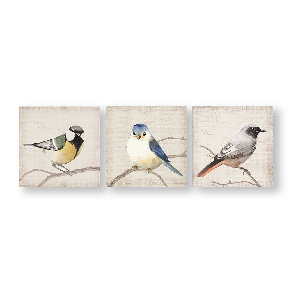 Set de 3 Toiles Imprimées Perched Birds