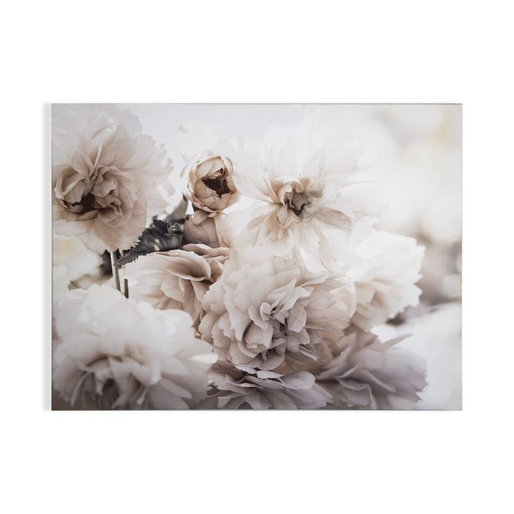 Wall Art Canvas Wall Art Graham & Brown UK