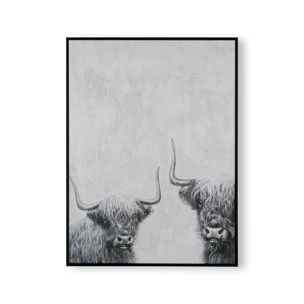 Highland Cows Box Framed Canvas
