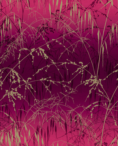 plain pale pink wallpaper
