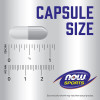 Now Sports Creatine Monohydrate Capsules