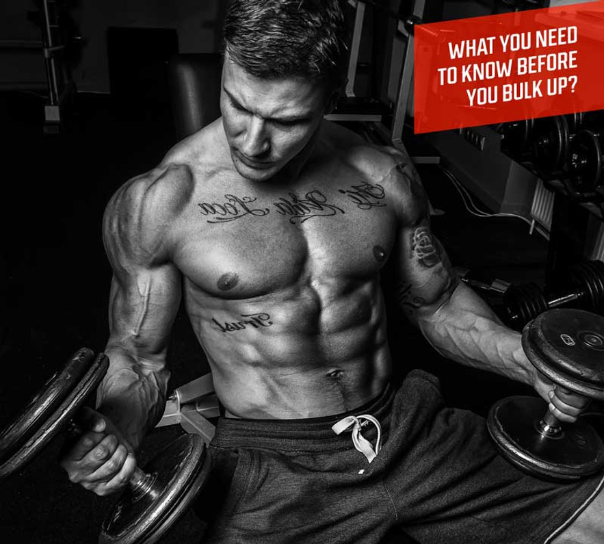 Russian Bear Supplement Review: What You Need to Know Before You Bulk Up