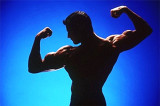 The Best Fats For Boosting Testosterone