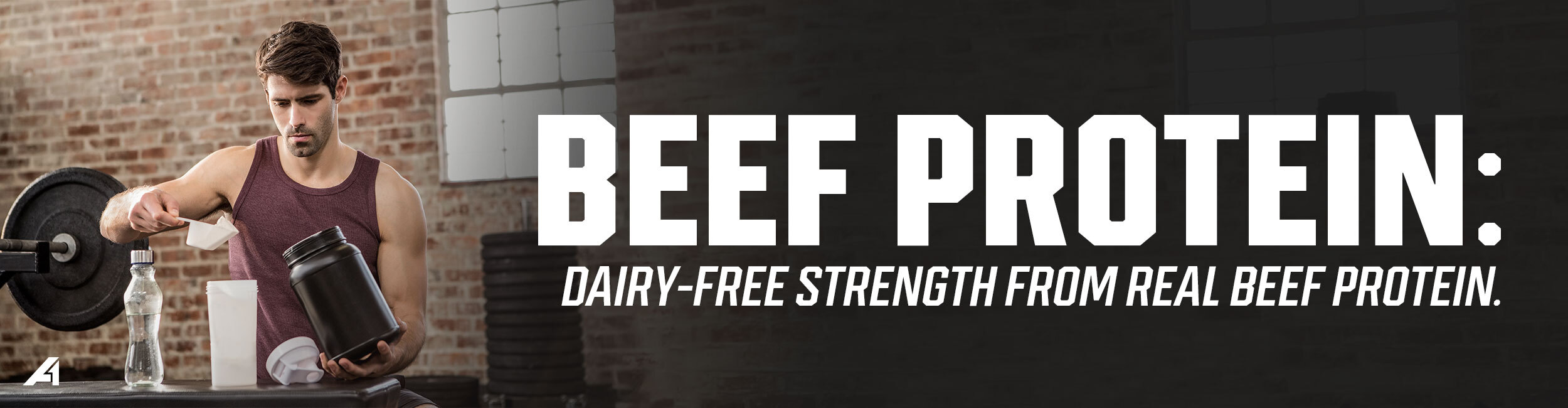 Beef Protein