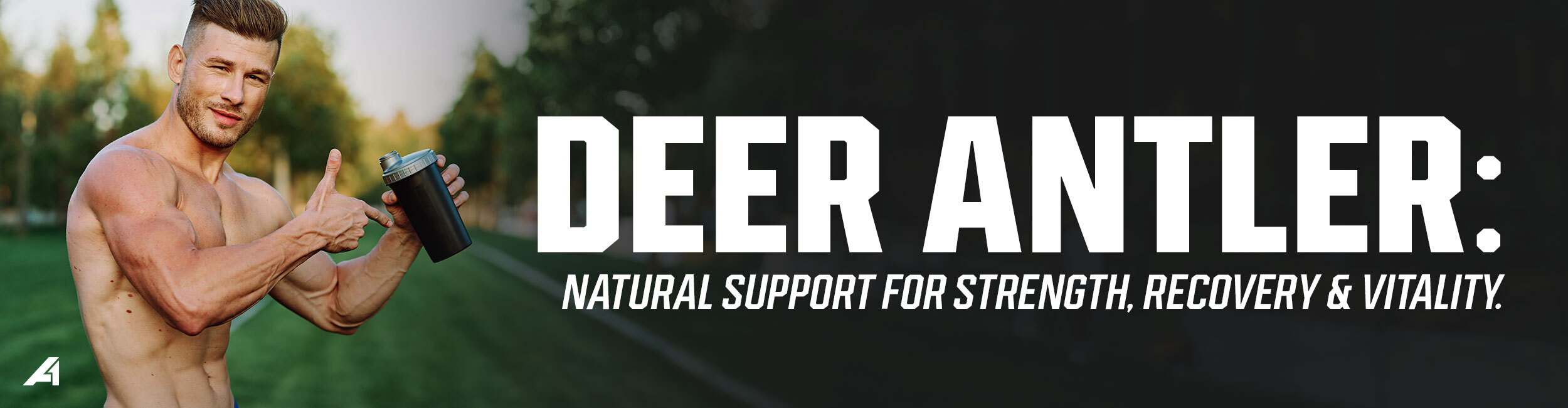 Deer Antler