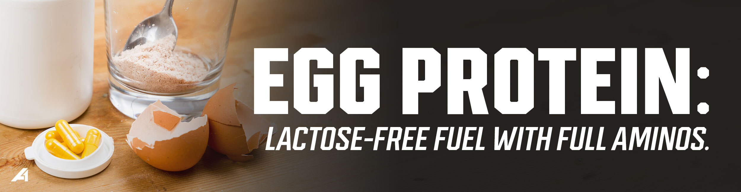 Egg Protein