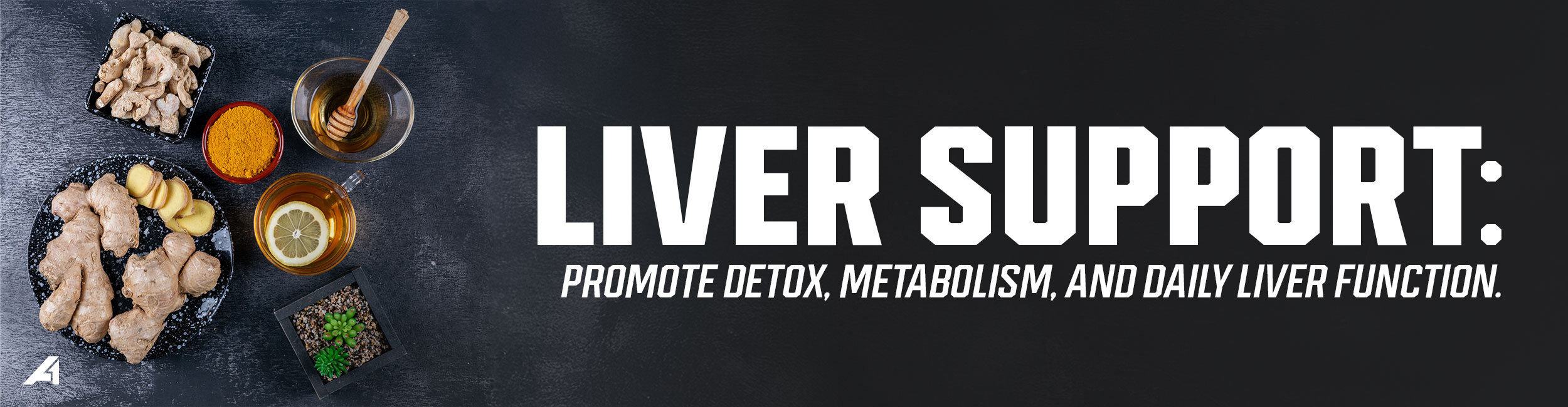 Liver Support