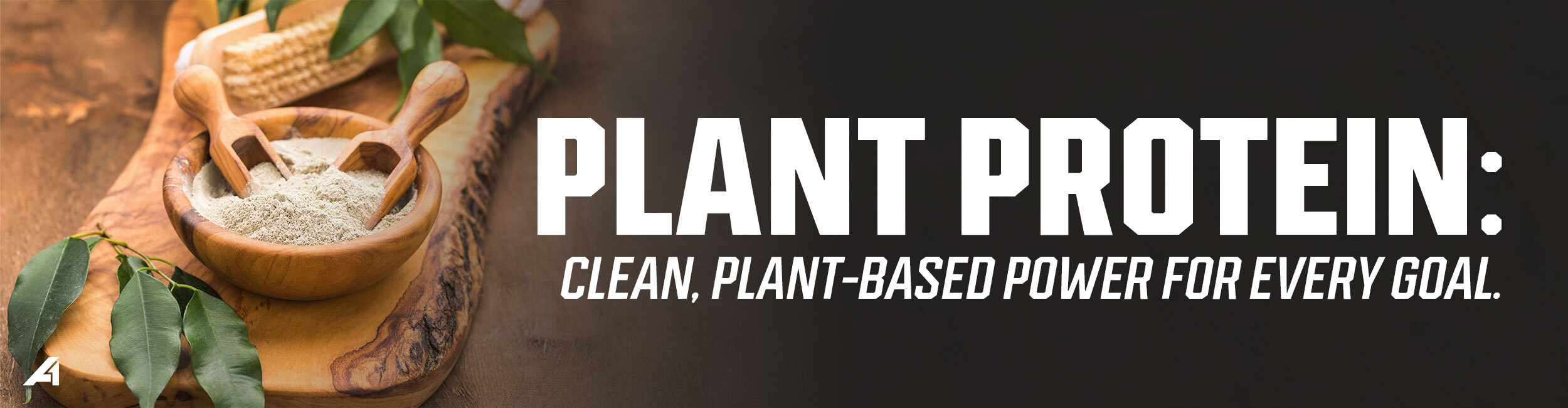 Plant Protein