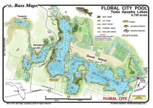 Tsala Apopka ( Inverness Pool & Hernando Pool ) (2sided)