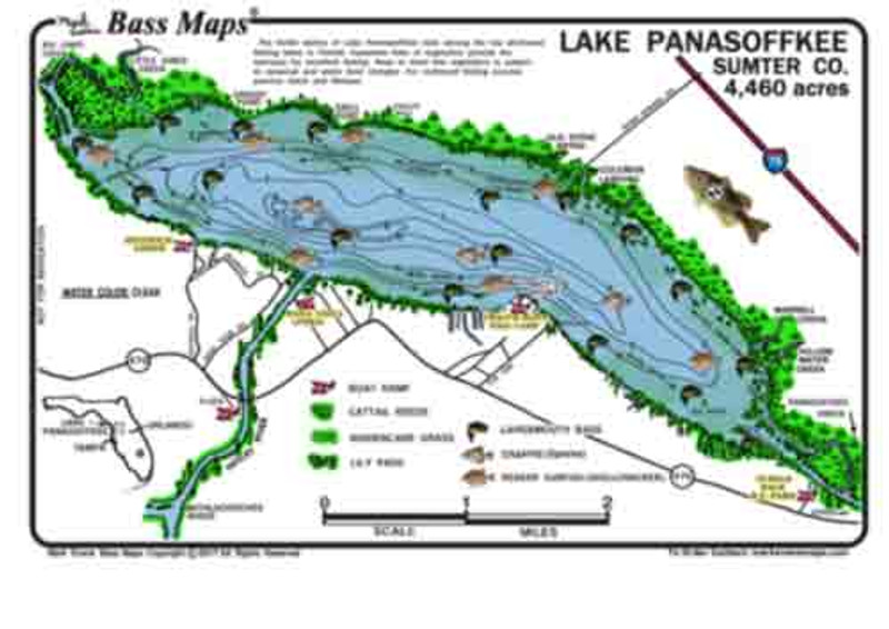 The Lake Panasoffkee Bass map is the most detailed depth / fishing map available. Bass catching vegetation like hydrilla, eelgrass, peppergrass, cattail reeds, kissimmee grass, and lily pads are  included.  Best fishing areas are marked in an easy to read waterproof format.