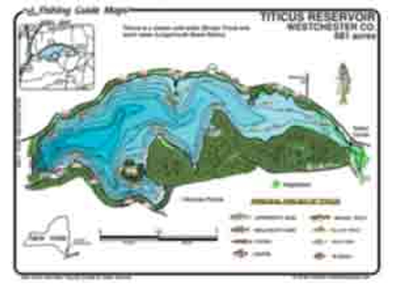 This is a detailed , colorful , waterproof  fishing map of  Titicus  Reservoir in Westchester Co., New York.   The map details include  common fish species,  depth contours, weed beds, and access points.