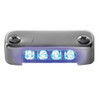 Attwood Blue LED Micro Light w\/Stainless Steel Bezel  Vertical Mount [6350B7]