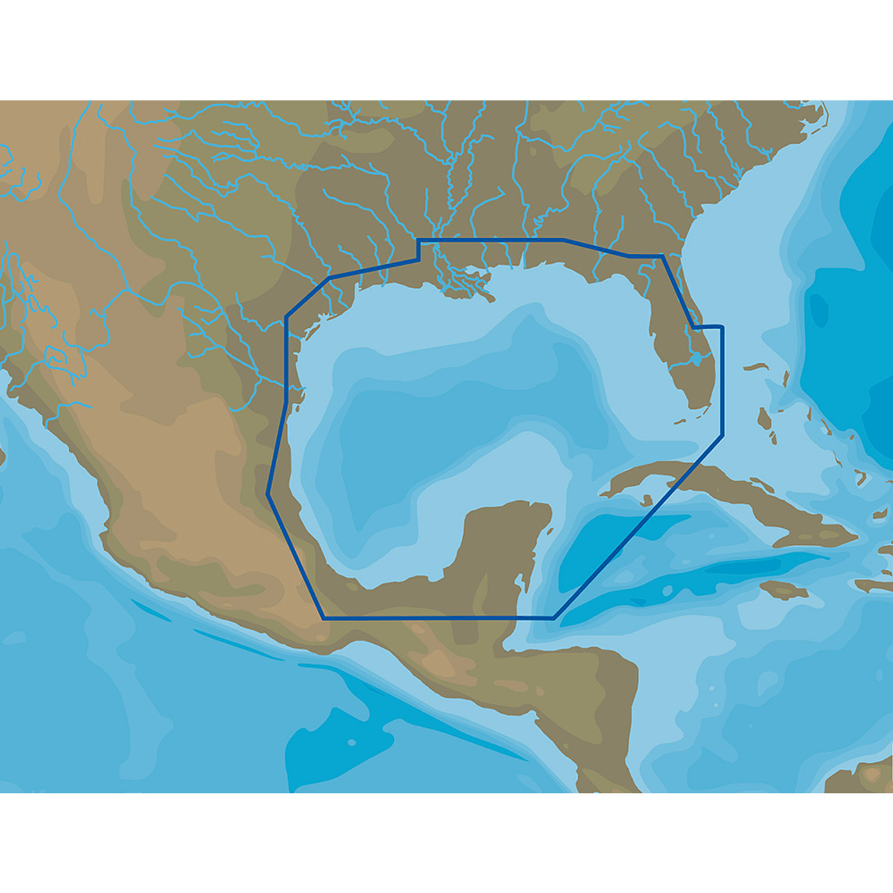 C-MAP 4D NA-D064 Gulf of Mexico - microSD\/SD [NA-D064]