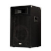 BR12 Passive 12" Speaker 3-Way DJ PA Karaoke Band Home Monitor